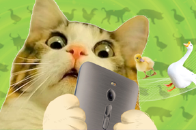 FRIDAY专栏 | 被憋疯的职场人，养起了猪牛羊鱼鸟...