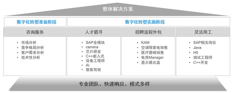 90hy豪运国际国际人力资源公司的一站式整体人才解决方案